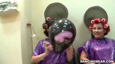 Dancingbear.com action with vicious puss from Dancing Bear